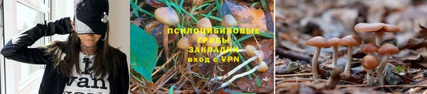 тгк Елабуга