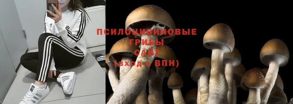 не бодяженный Богданович