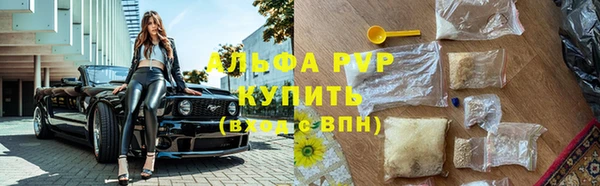 не бодяженный Богданович