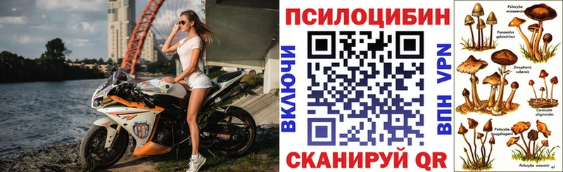 Псилоцибиновые грибы MAGIC MUSHROOMS  Медногорск 