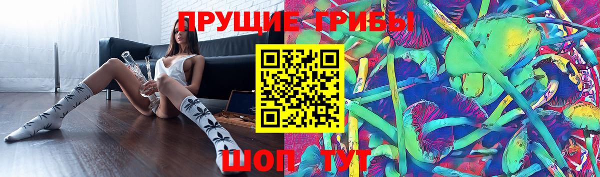 Псилоцибиновые грибы MAGIC MUSHROOMS  Вход с VPN  Медногорск 